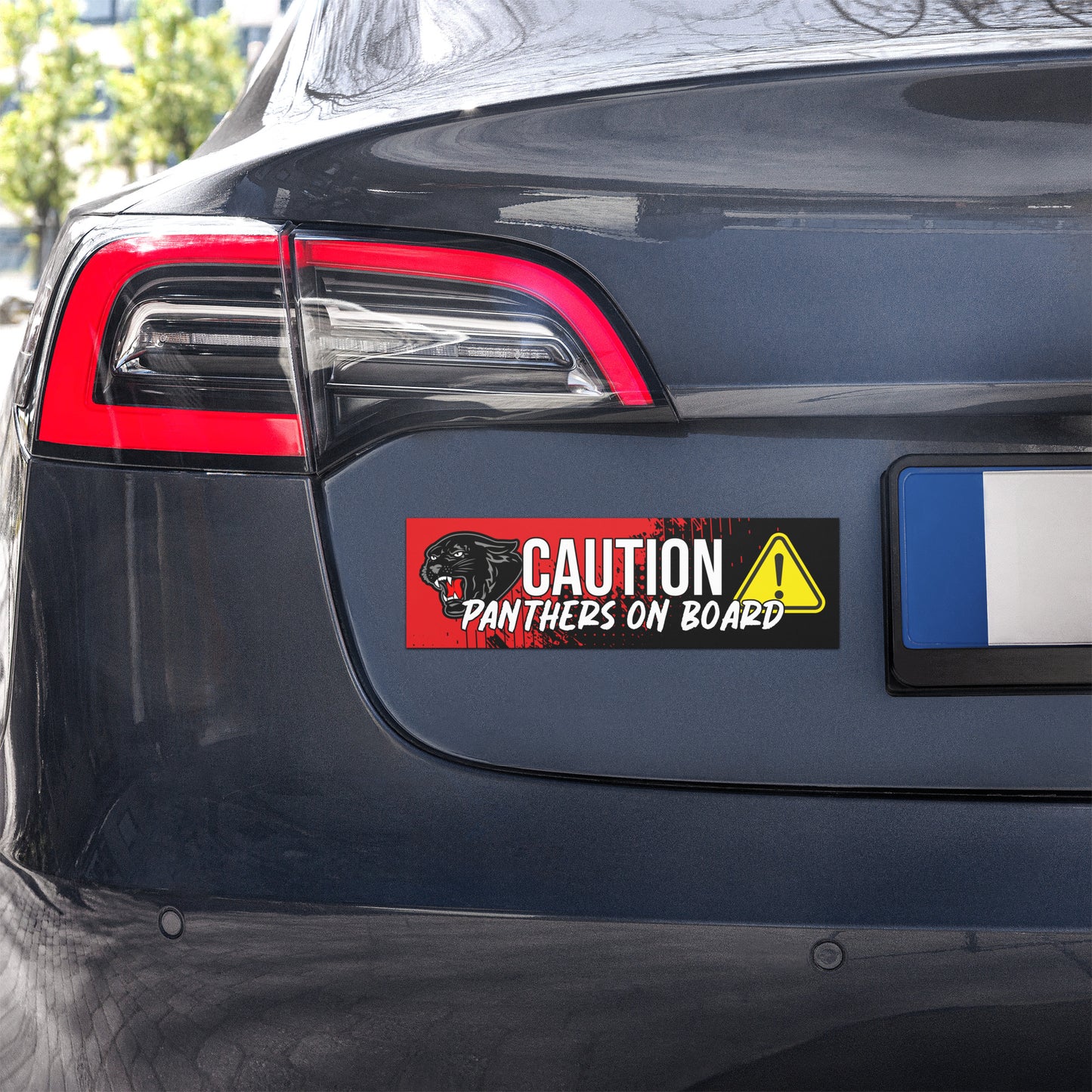 Panthers Car Magnet