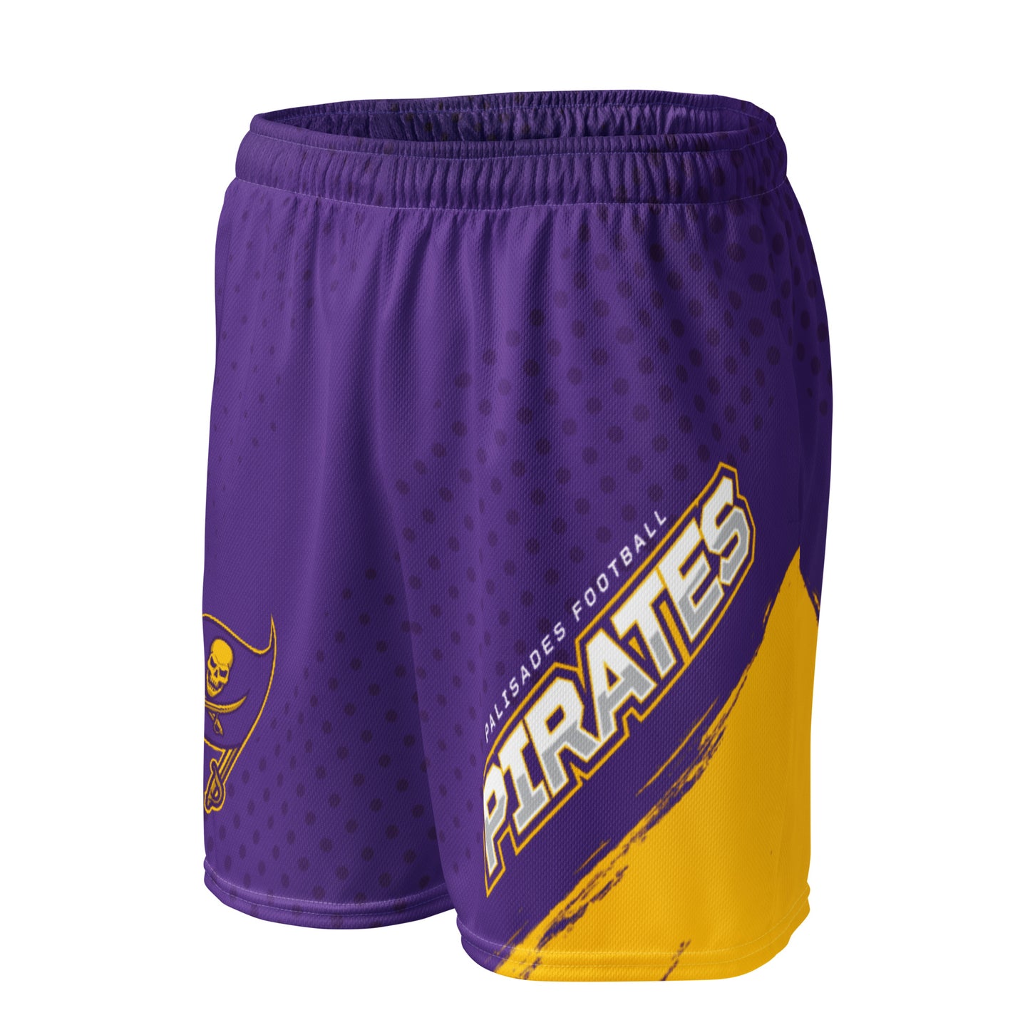 Palisades Football Mesh Shorts