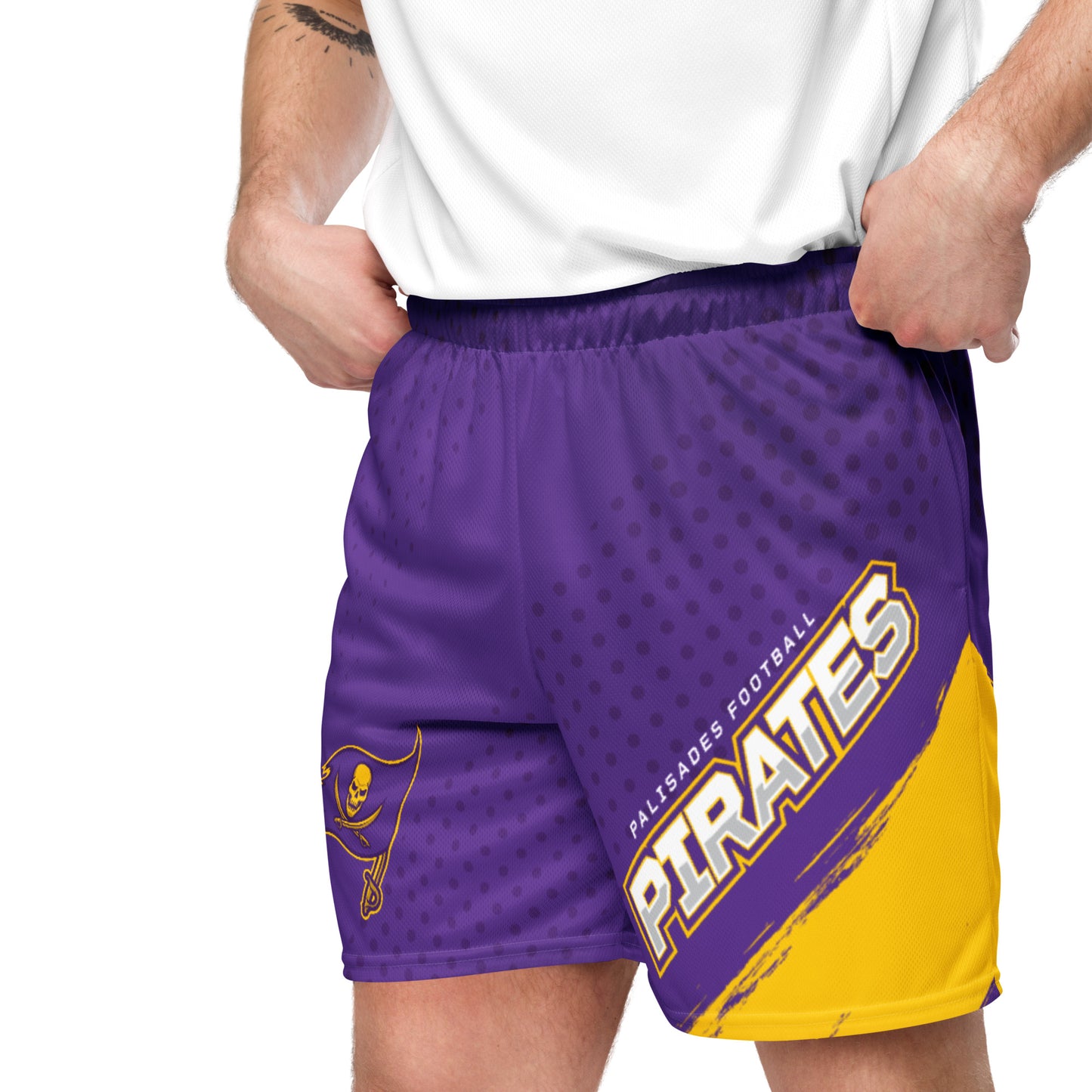 Palisades Football Mesh Shorts