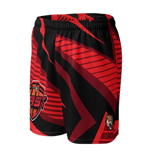 Cherry Hill East Basketball Mesh Shorts