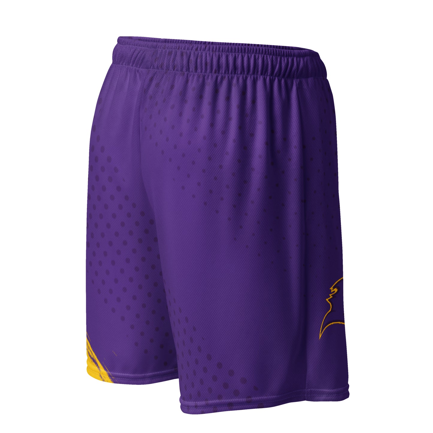 Palisades Football Mesh Shorts