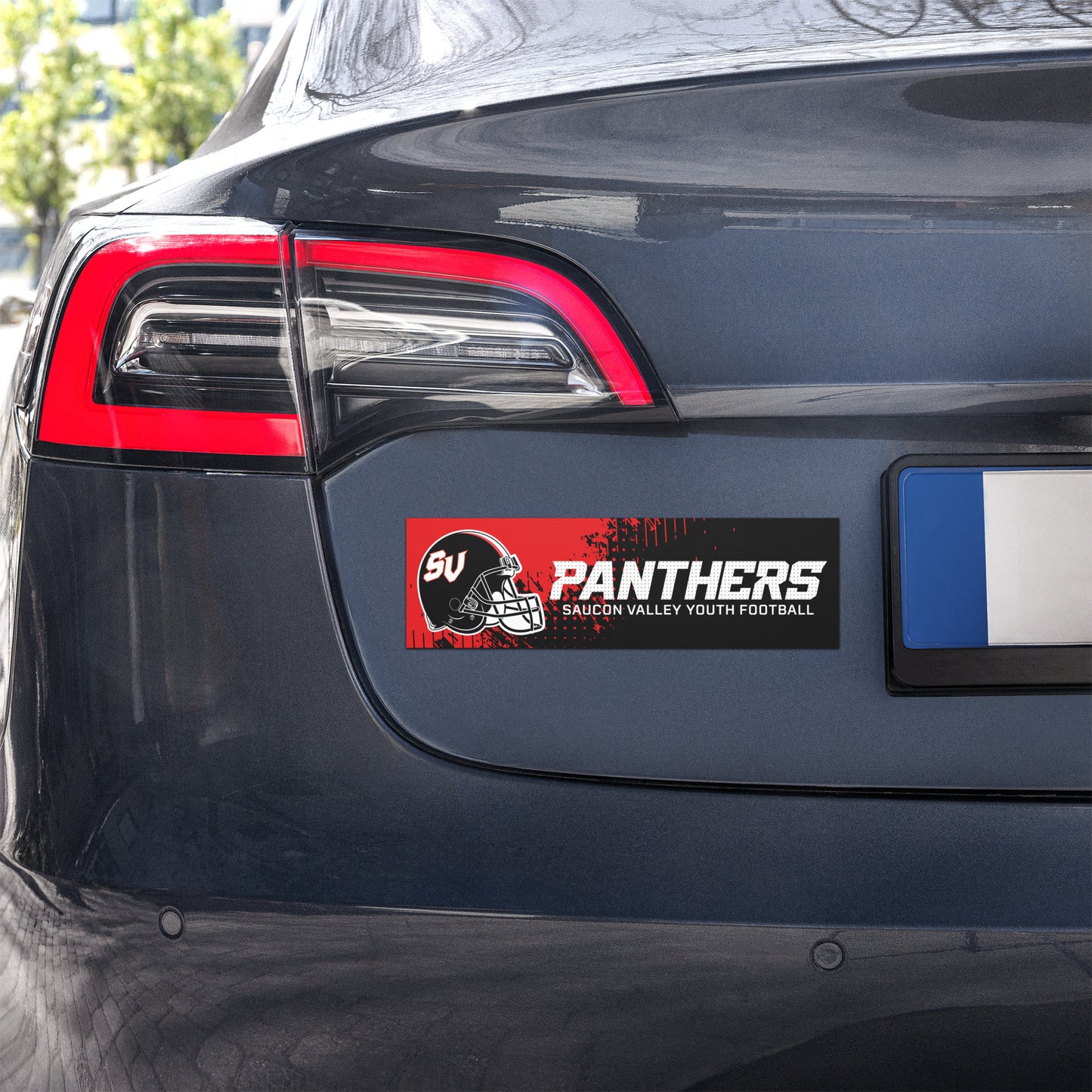 SVYF Car Magnets