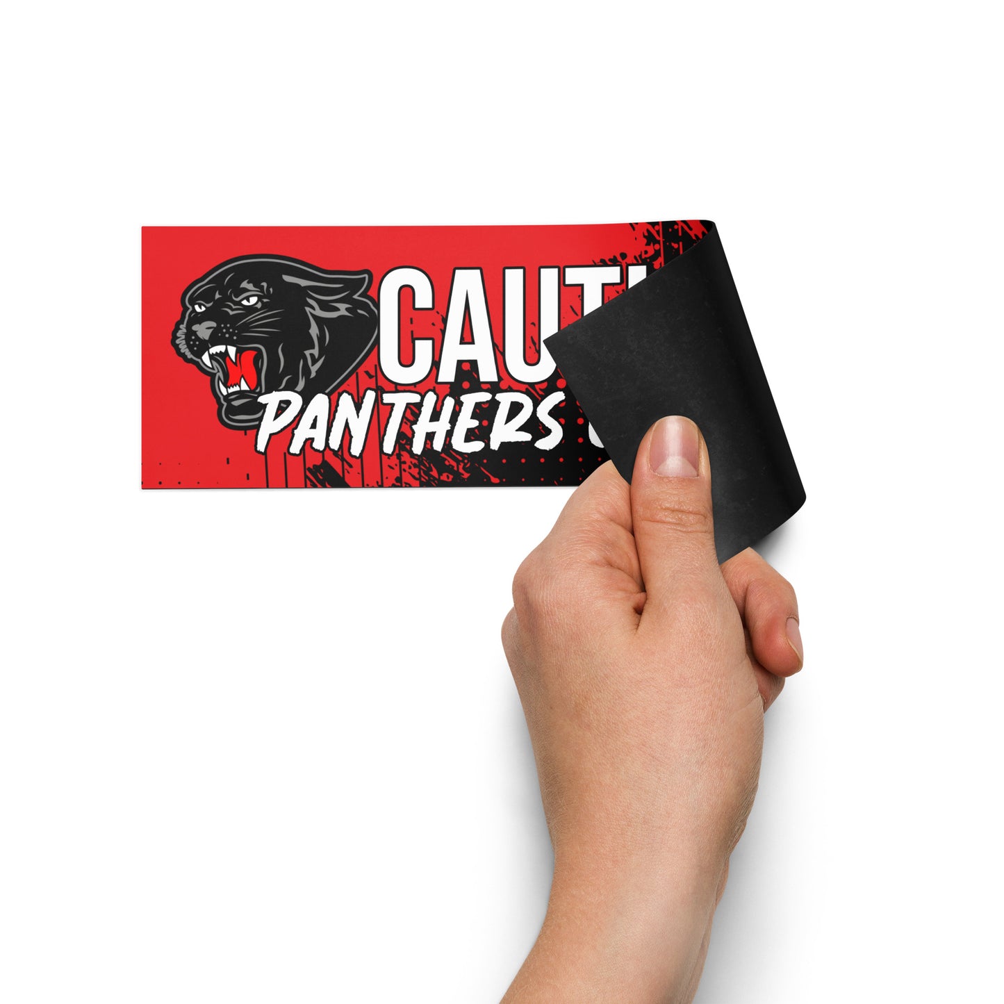 Panthers Car Magnet