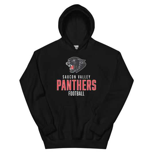 Panthers Football Vintage Hoodie